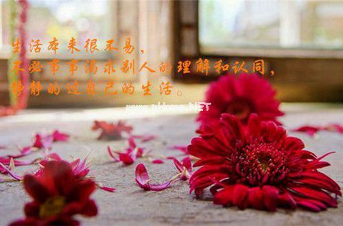 qq治愈系说说19句