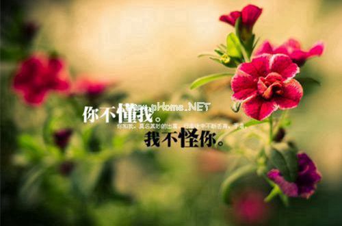 男孩说说18句
