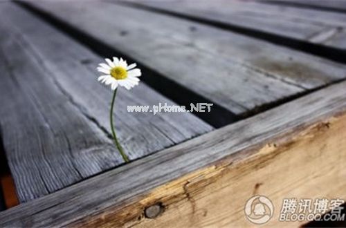 青春经典的爱情说说句子14句