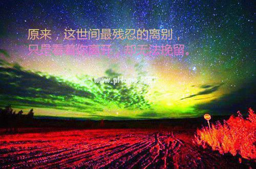 表达爱情伤感的心情句子16句