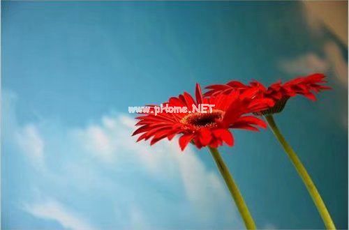 心情不好的空间图片说说19句