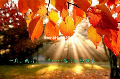 分手后超拽的个性说说女生精选大全