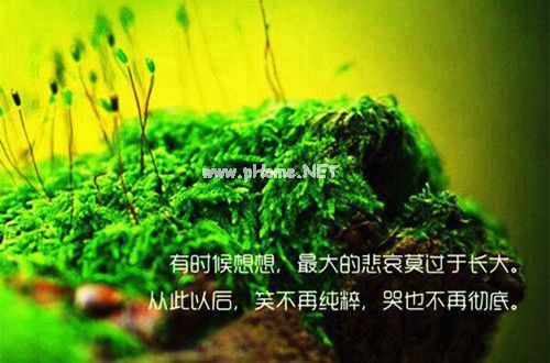 两个人闹别扭的说说27句