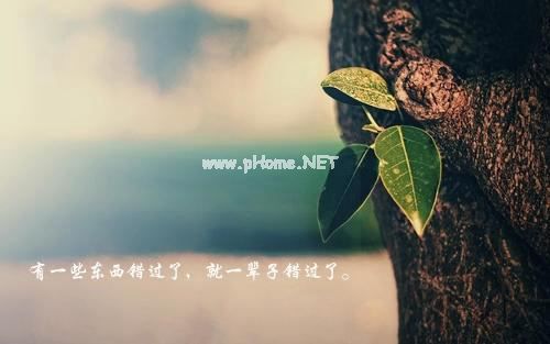 那些说到心坎里去的唯美