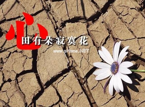 用心田造句大全 心田怎么造句