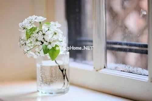 平淡而幸福的句子  总有一句触动你心灵