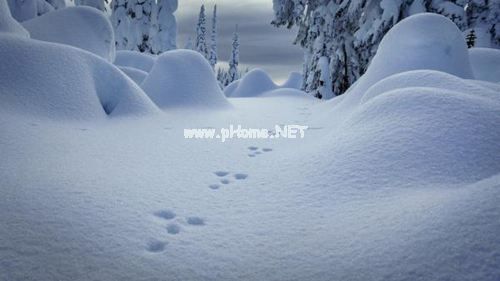 下雪天时适合发朋友圈的伤感句子