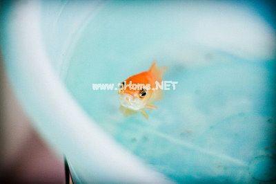 关于祝福老师的诗句 赠送于老师的诗句 赞美及祝福老师的现代