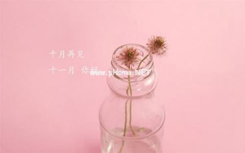 十月的谢幕，十一月开始的励志说说