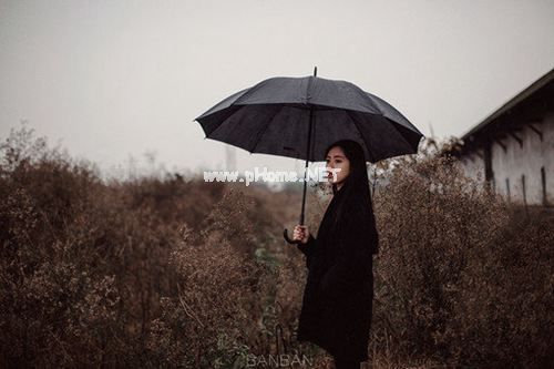 夏洛的网好词好句好段摘抄大全