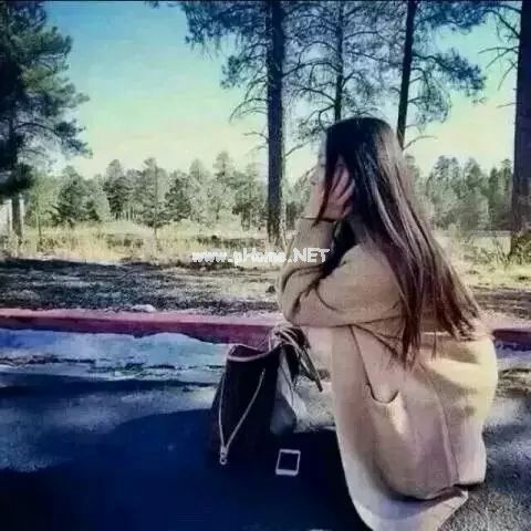 经典的最具有诗情画意的诗句古诗