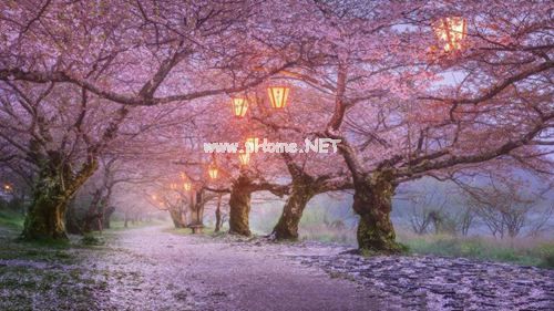 适合发朋友圈的唯美经典语录  道理都懂，只是情绪作祟，故事