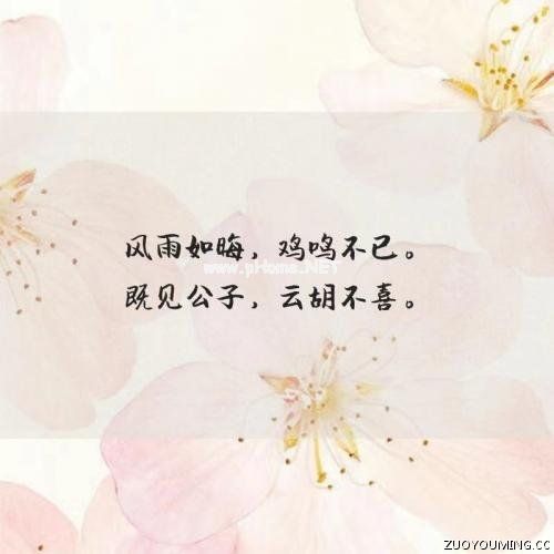 令人惊艳的短句情话