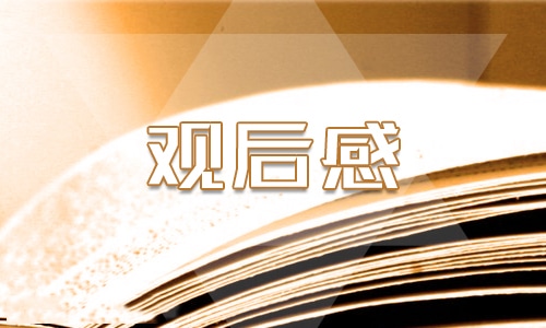 初三年级的冬奥会观后感600字5篇