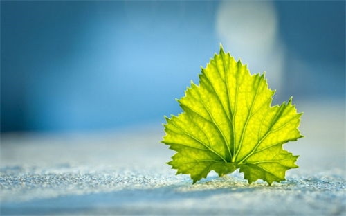 24节气中小满时节的故事_二十四节气小满的来历最新