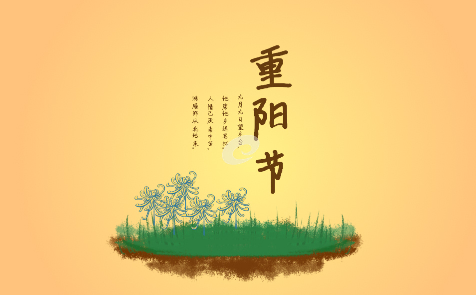 重阳节策划活动方案(精选11篇)