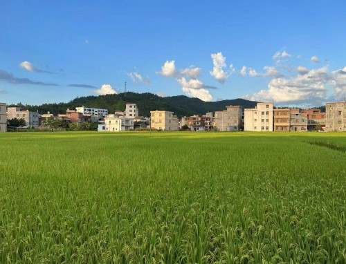 贫困个人助学金感谢信简介模板范文
