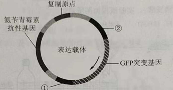 2023高考理综真题全国乙卷生物