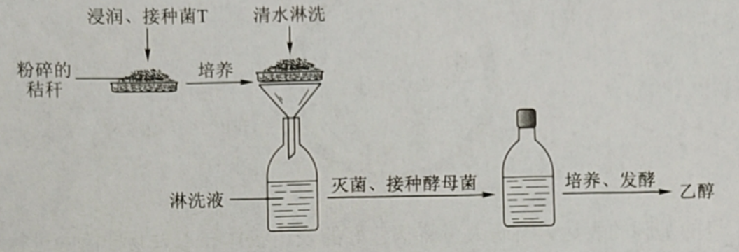 2023高考理综试题内容生物(乙卷)