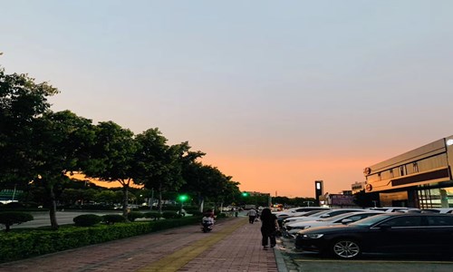 日落即景作文五年级10篇范文