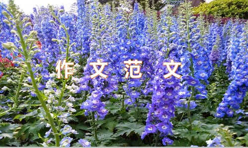 给未来自己的一封信范文600字