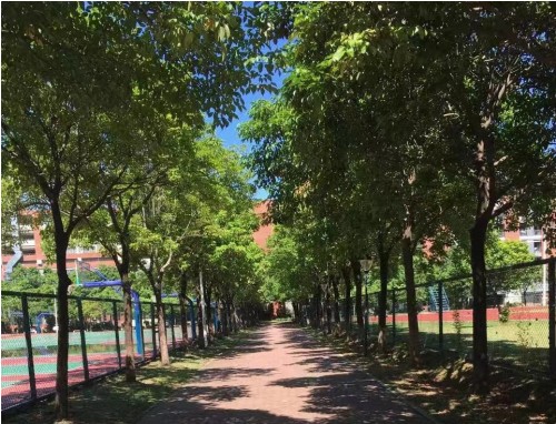 小学生摘抄夏天的好句好段素材