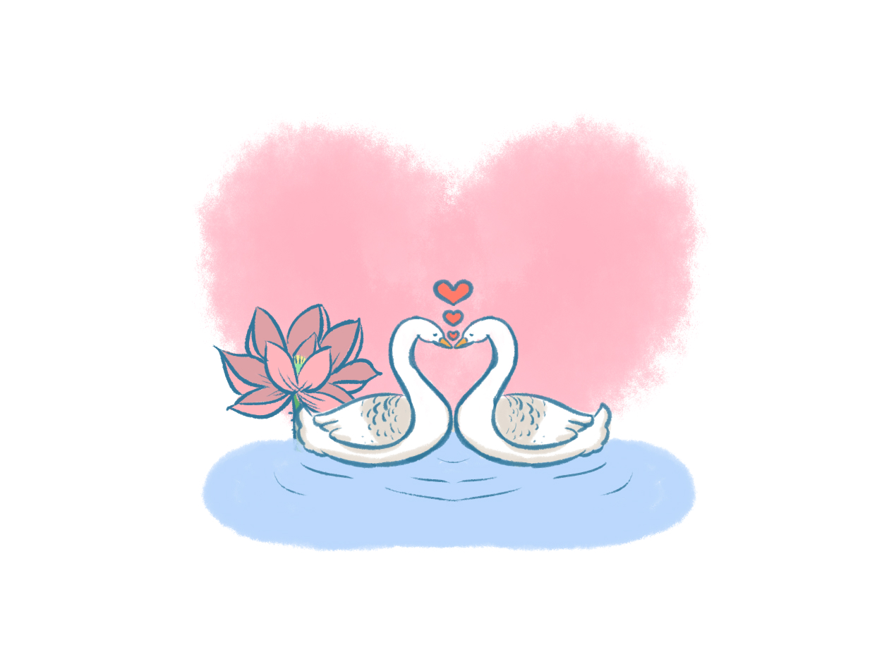 描写校园青春爱情的好句好段