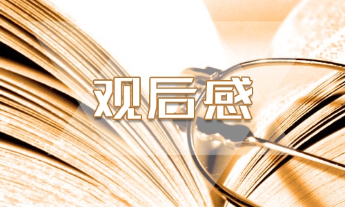 看《芙蓉镇》小说的观后感700字作文
