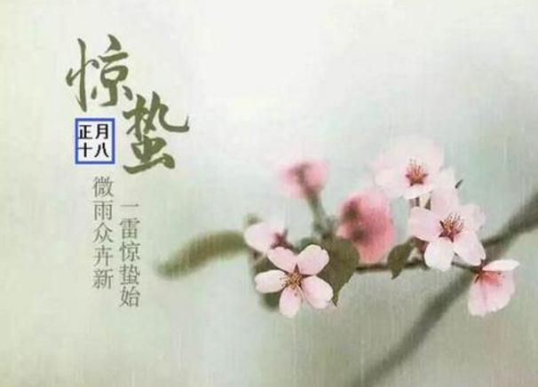 走过春天的蚂蚁