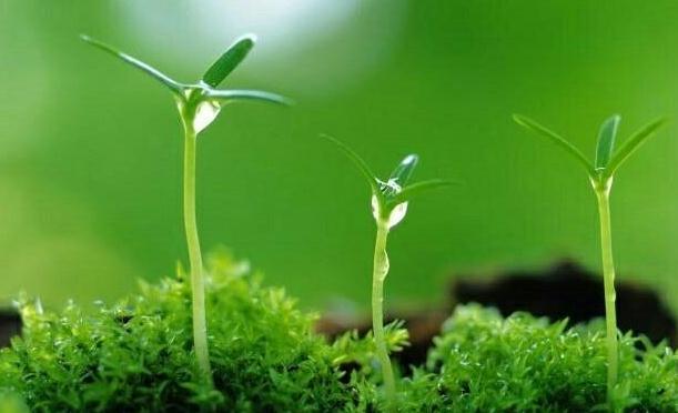 关于立春节气的谚语_二十四节气立春谚语大全