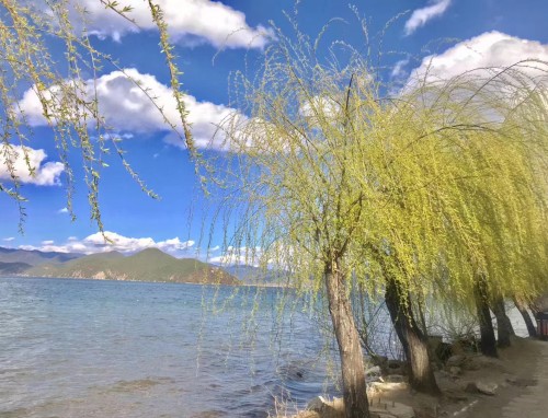 形容盛夏的优美诗句经典110句