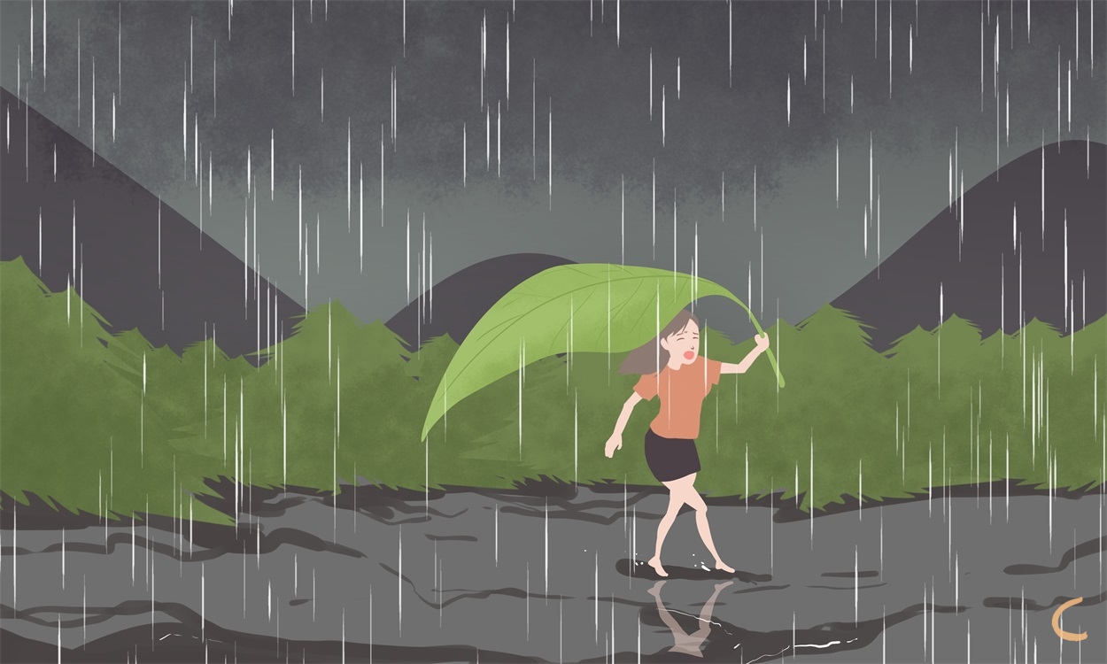 雨作文2000字(精选5篇)