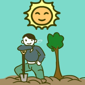 植树作文四百字(精选3篇)